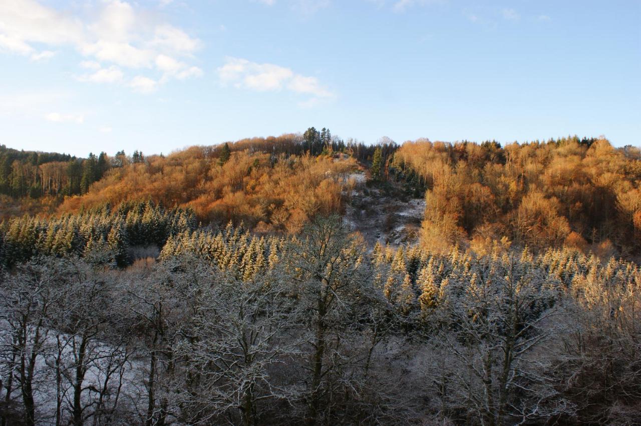 Le P'Tit Gite De Chomet La Tour-dʼAuvergne Exterior foto